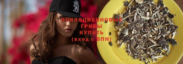 ПСИЛОЦИБИНОВЫЕ ГРИБЫ Алексеевка