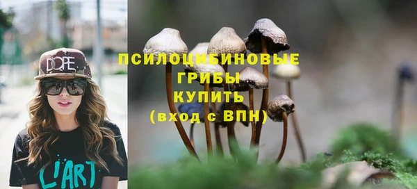 ПСИЛОЦИБИНОВЫЕ ГРИБЫ Алексеевка