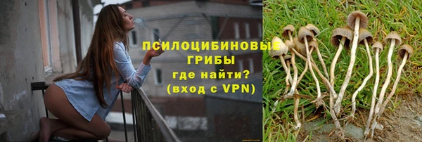 соль ск Абдулино