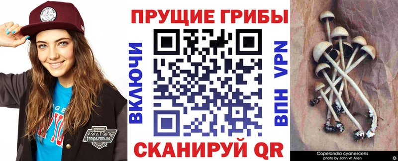 Псилоцибиновые грибы мухоморы ОМГ ОМГ ссылки Карасук