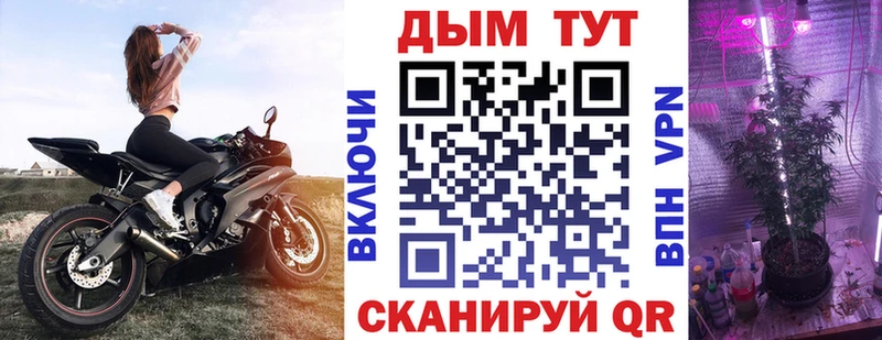 Бошки Шишки VHQ Карасук